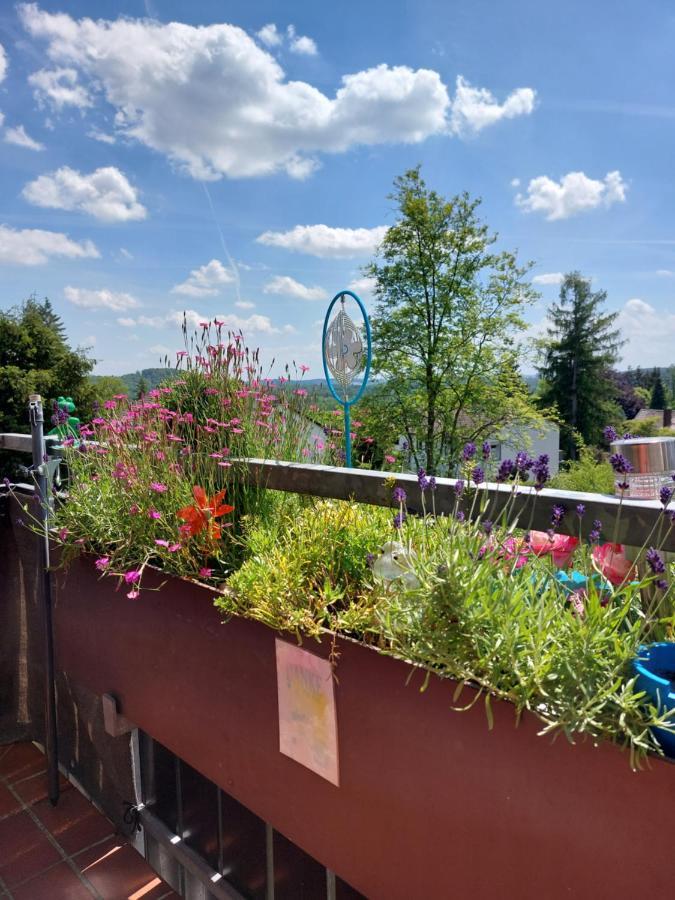 Haus Sachsensteinblick Ferienwohnung Sonnenschein Bad Sachsa Exterior foto